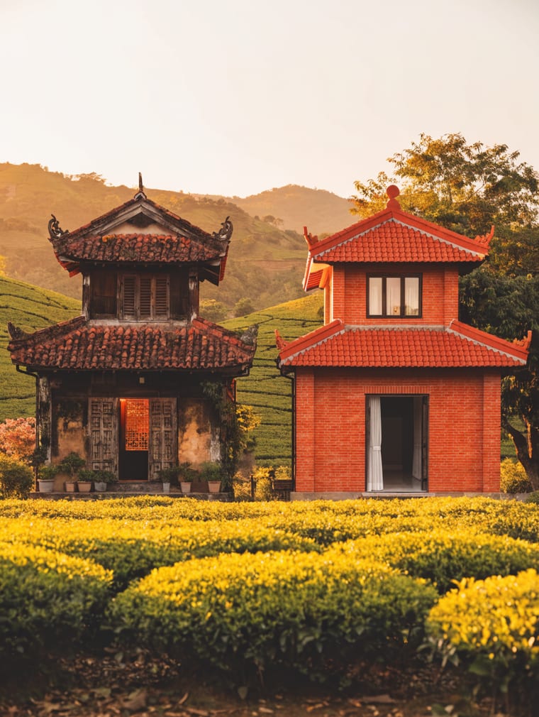 Hanz có đụng vào công ty của ba mẹ tôi không?